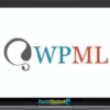 WPML CMS Multilingual Lifetime Club group buy