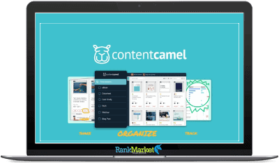 Content Camel Team Plan LTD group buy