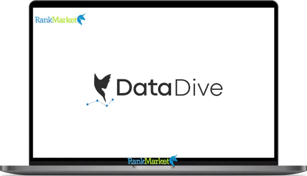 Data Dive